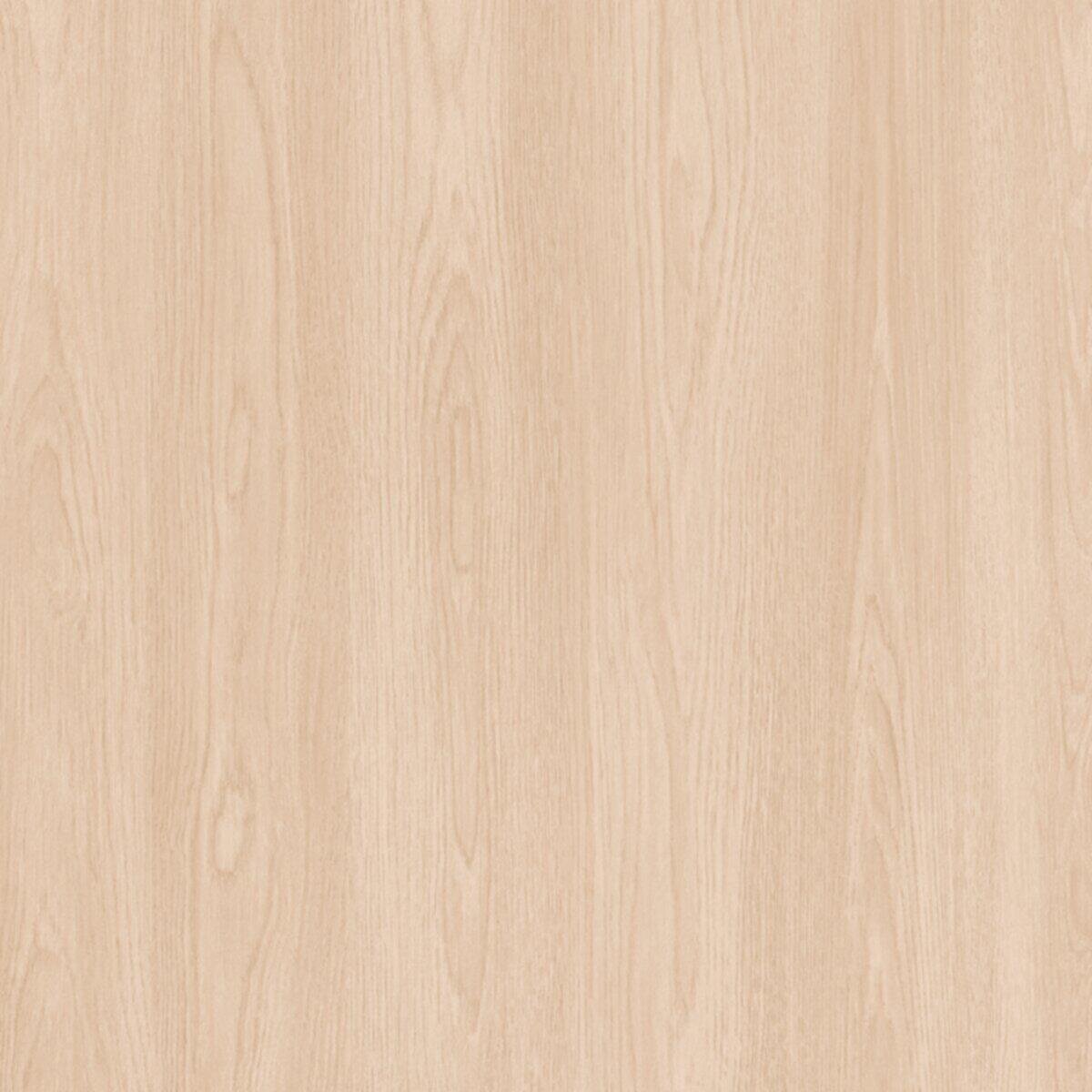 Proyecto Ferrini Oasis